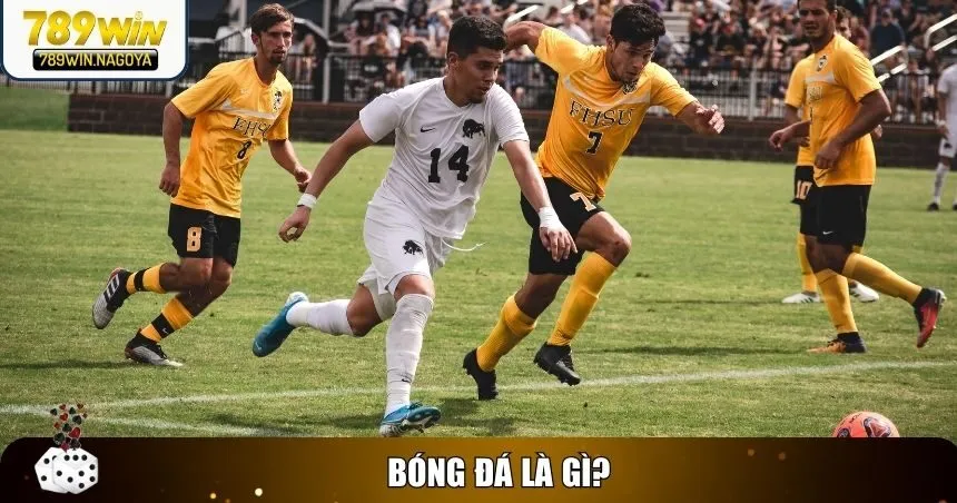 Bóng đá được mệnh danh là môn thể thao vua