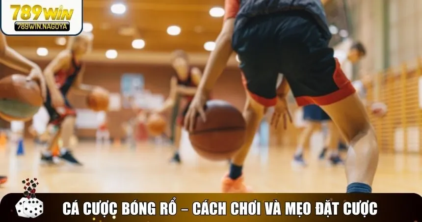 Cá cược bóng rổ cũng vô cùng thú vị